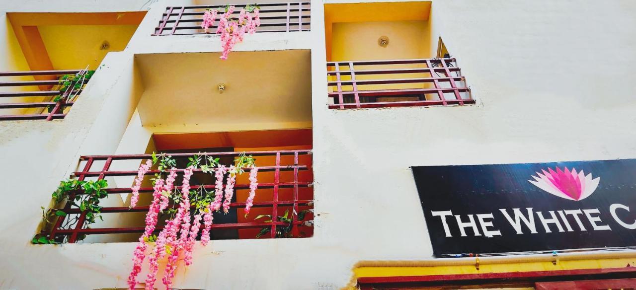 The White Canyon Hotel Varanasi Exterior foto
